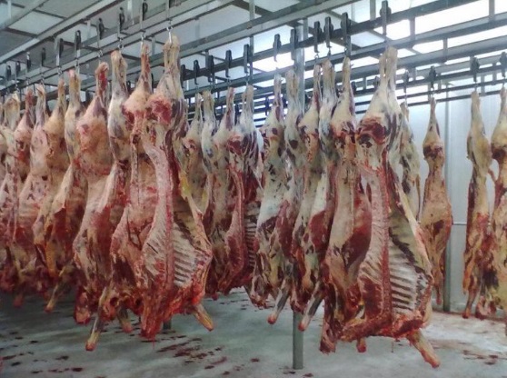 Mercado de carne bovina vive momento de apreensão à espera do posicionamento chinês